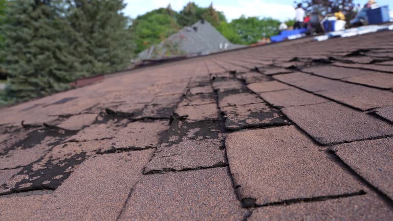 Best Commercial Roofing Services  in Fairport Harbor, OH
